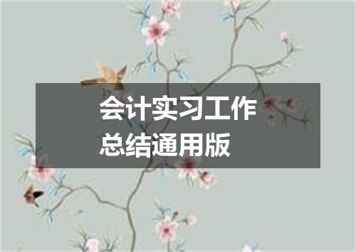 会计实习工作总结通用版