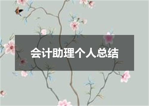 会计助理个人总结