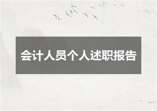 会计人员个人述职报告