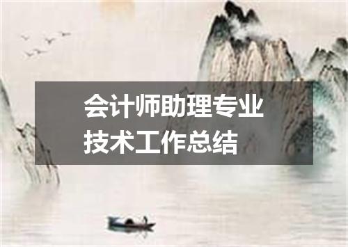 会计师助理专业技术工作总结