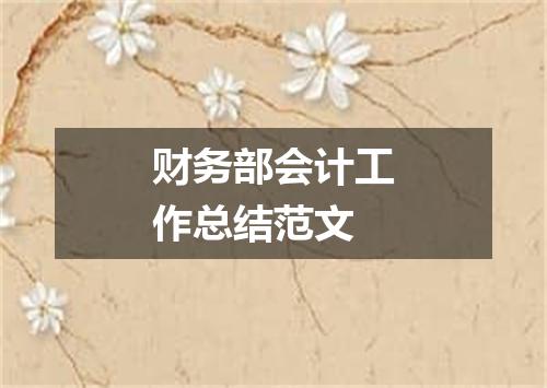 财务部会计工作总结范文