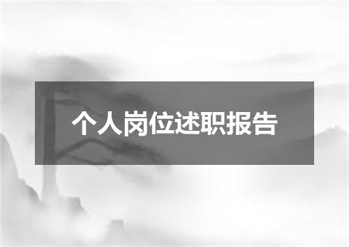 个人岗位述职报告