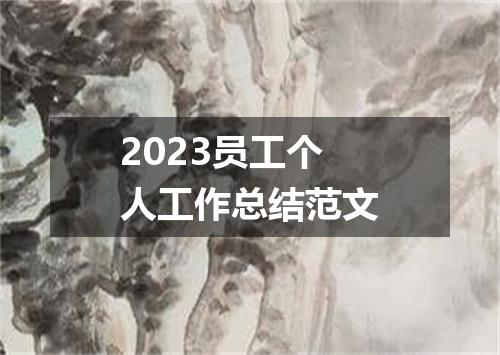 2023员工个人工作总结范文