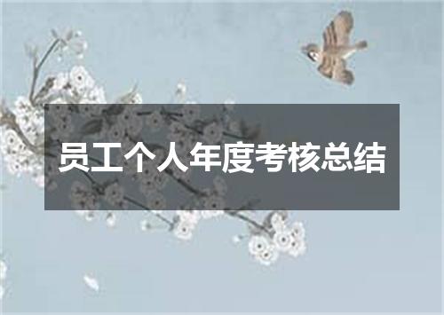 员工个人年度考核总结