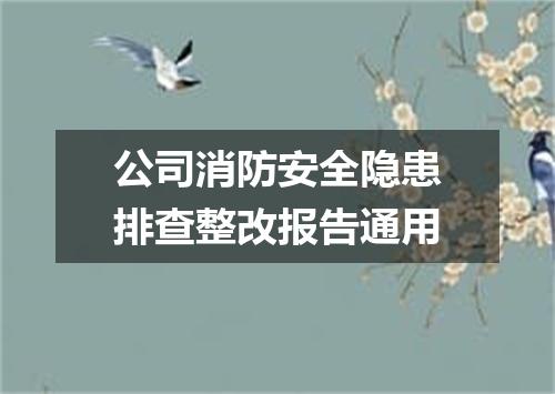 公司消防安全隐患排查整改报告通用