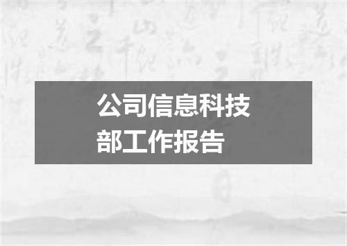 公司信息科技部工作报告
