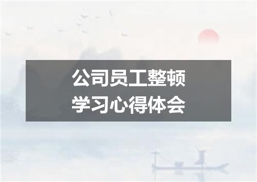 公司员工整顿学习心得体会
