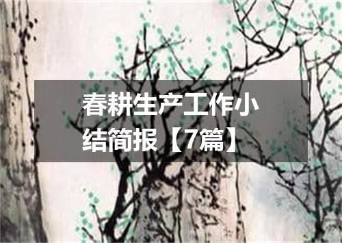 春耕生产工作小结简报【7篇】