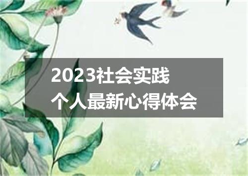 2023社会实践个人最新心得体会