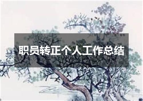 职员转正个人工作总结