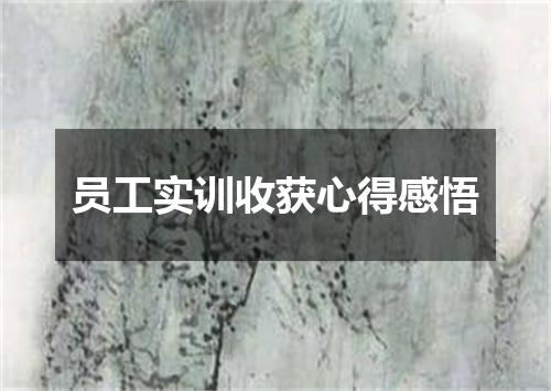 员工实训收获心得感悟