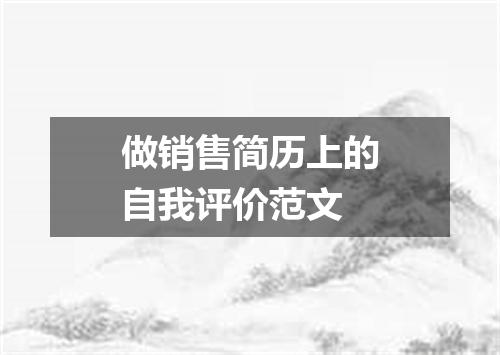 做销售简历上的自我评价范文