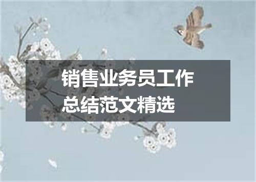 销售业务员工作总结范文精选