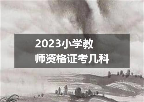 2023小学教师资格证考几科