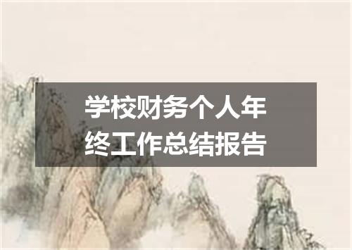 学校财务个人年终工作总结报告
