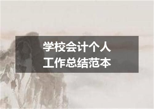 学校会计个人工作总结范本
