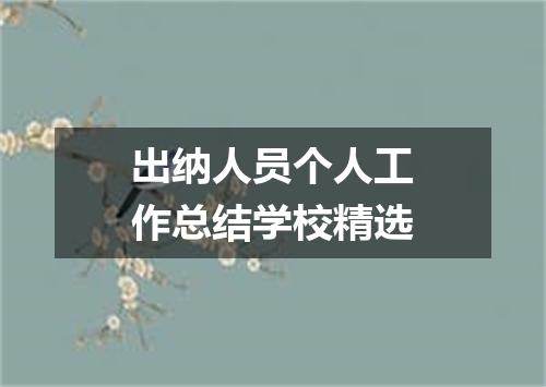 出纳人员个人工作总结学校精选