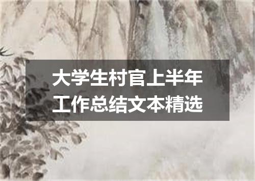 大学生村官上半年工作总结文本精选