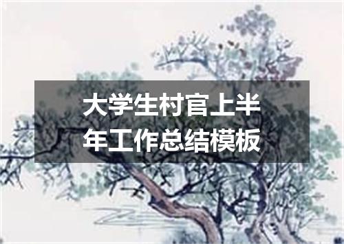 大学生村官上半年工作总结模板