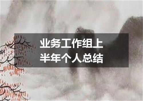 业务工作组上半年个人总结