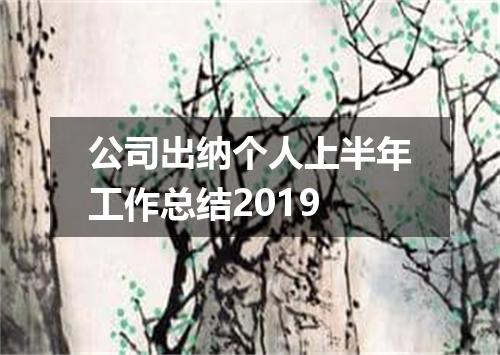 公司出纳个人上半年工作总结2019