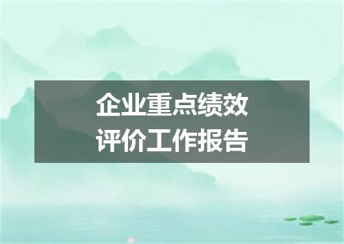 企业重点绩效评价工作报告