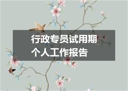 行政专员试用期个人工作报告