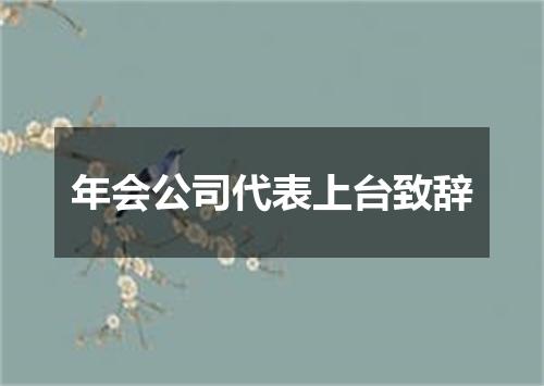 年会公司代表上台致辞