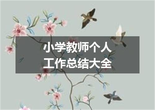 小学教师个人工作总结大全