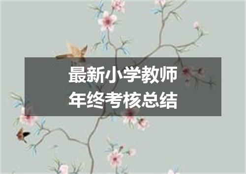 最新小学教师年终考核总结