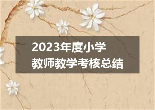2023年度小学教师教学考核总结