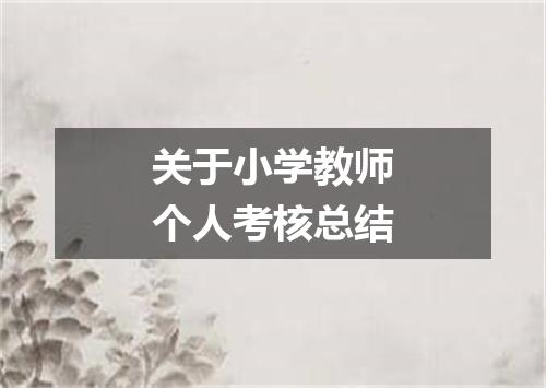 关于小学教师个人考核总结