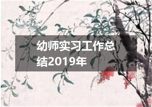 幼师实习工作总结2019年