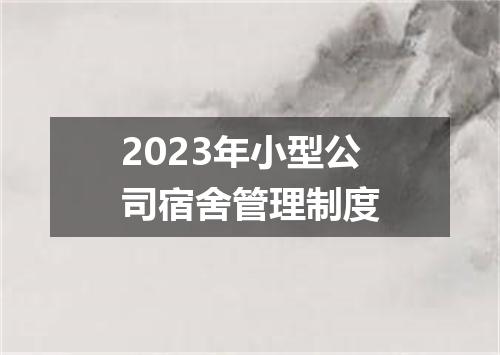 2023年小型公司宿舍管理制度