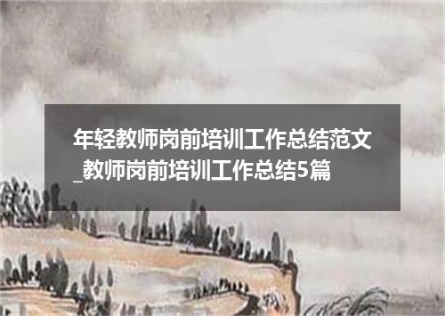 年轻教师岗前培训工作总结范文_教师岗前培训工作总结5篇