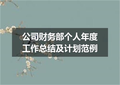 公司财务部个人年度工作总结及计划范例