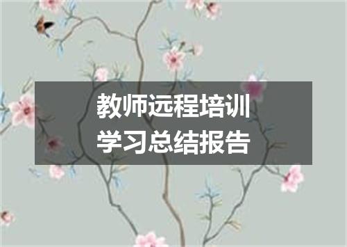 教师远程培训学习总结报告