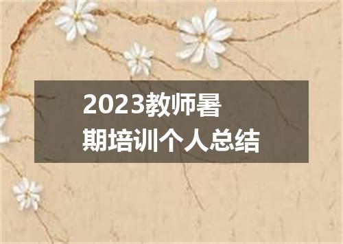 2023教师暑期培训个人总结
