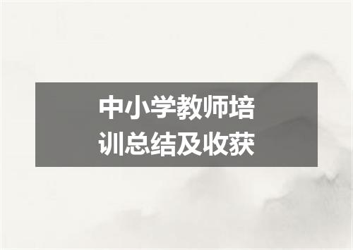 中小学教师培训总结及收获