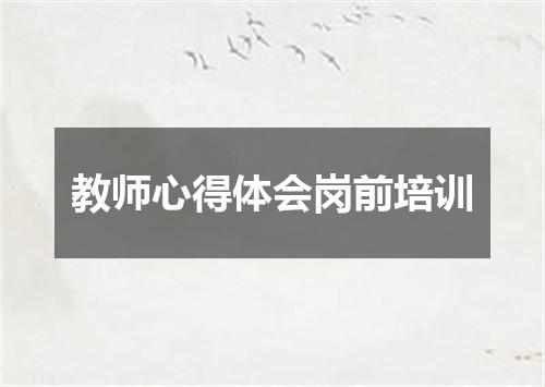 教师心得体会岗前培训