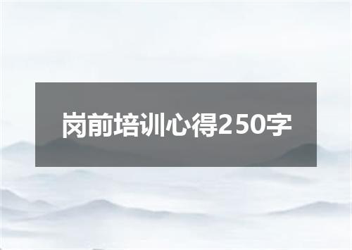 岗前培训心得250字