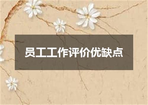 员工工作评价优缺点