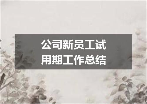 公司新员工试用期工作总结