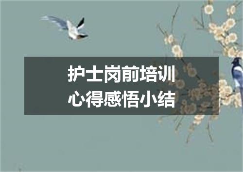 护士岗前培训心得感悟小结