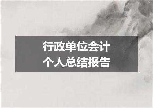 行政单位会计个人总结报告