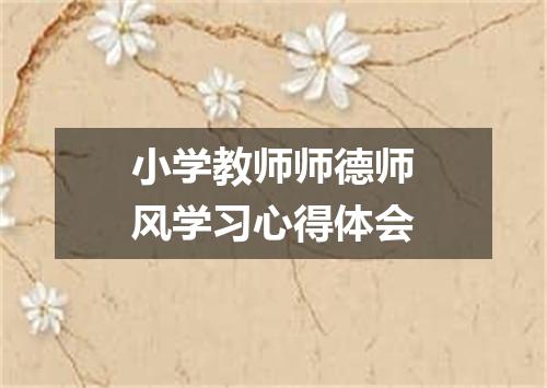 小学教师师德师风学习心得体会