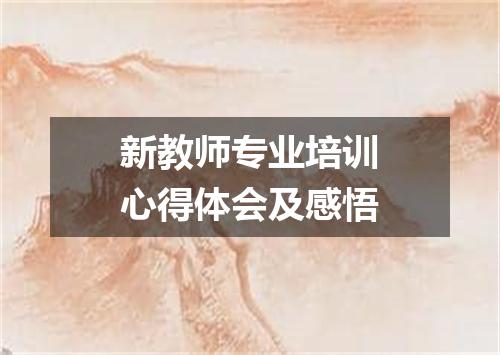 新教师专业培训心得体会及感悟