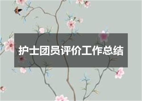 护士团员评价工作总结