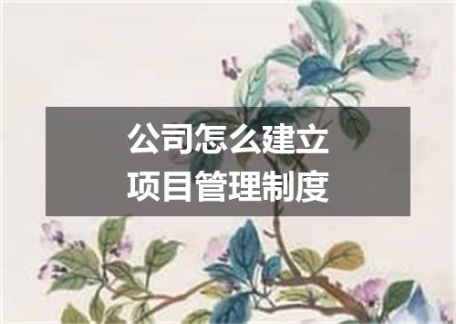 公司怎么建立项目管理制度