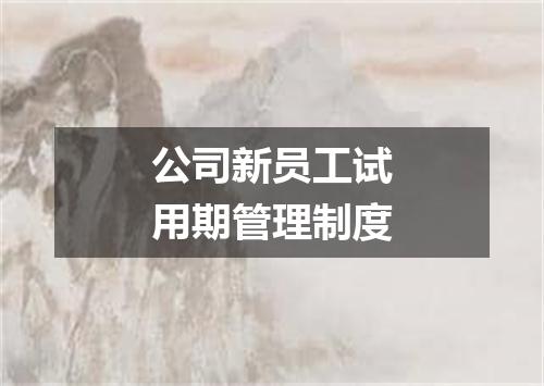 公司新员工试用期管理制度